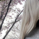 Discovery icon for ৎ  asulα  🤍🌸  guilds ˚˖𓍢 icons．social．gaming．anime Discord server